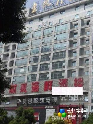 芙蓉广场 八一桥 金帆大厦 340平方带装修