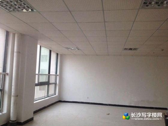 省政府星城荣誉综合楼1栋精装写字楼出租