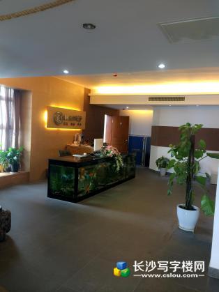 芙蓉路明城国际豪华装修写字楼出租 