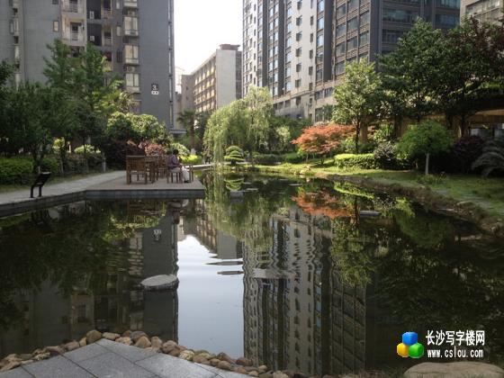 湘域中央甲级纯写字楼110平米精装修